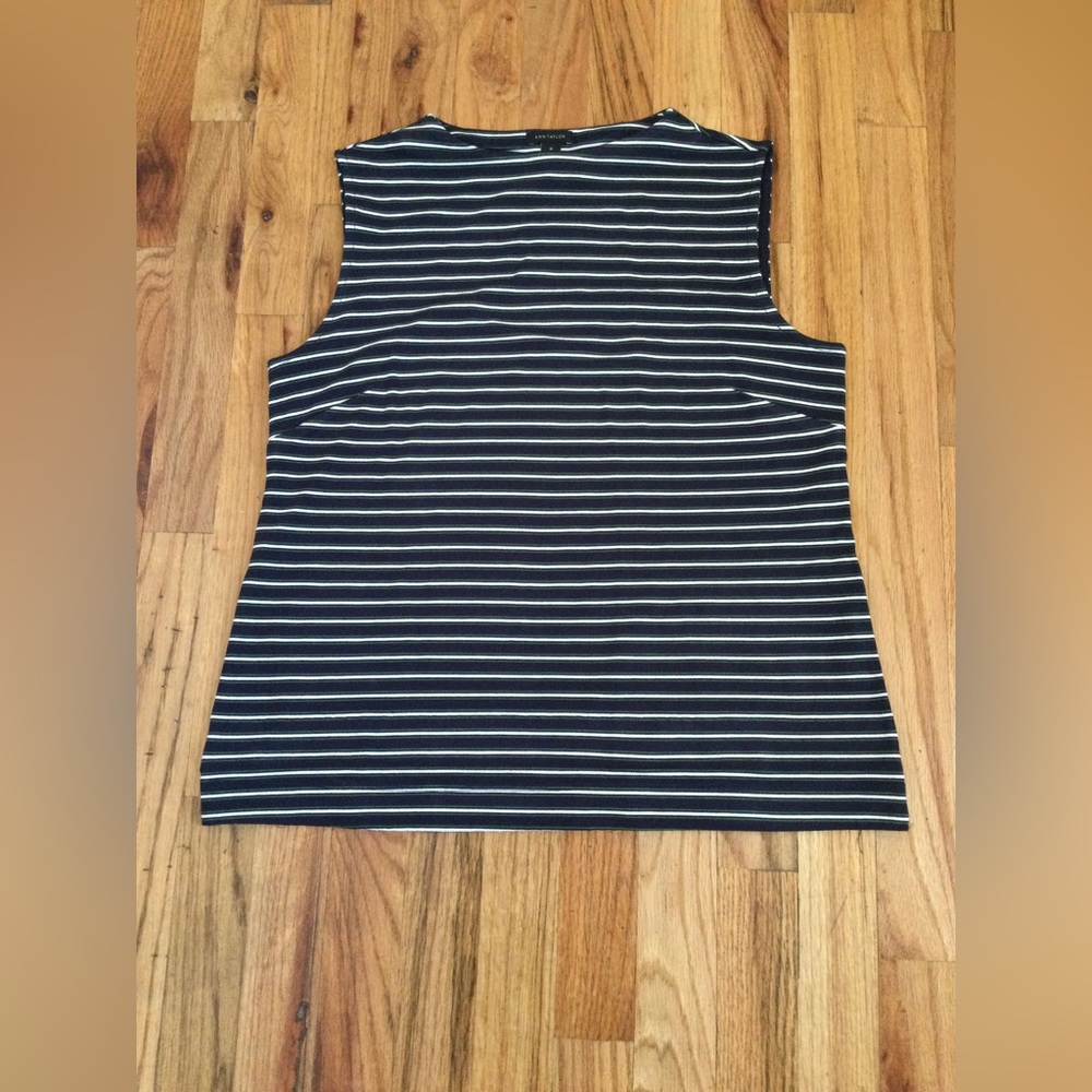 Ann Taylor boatneck top